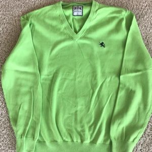 Express V-Neck Sweater